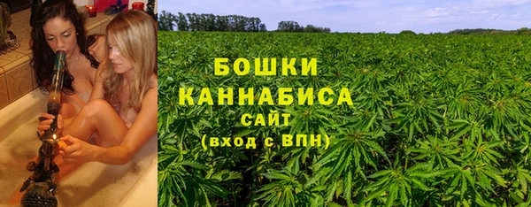 ПСИЛОЦИБИНОВЫЕ ГРИБЫ Бугульма