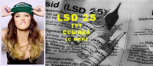 ПСИЛОЦИБИНОВЫЕ ГРИБЫ Бугульма