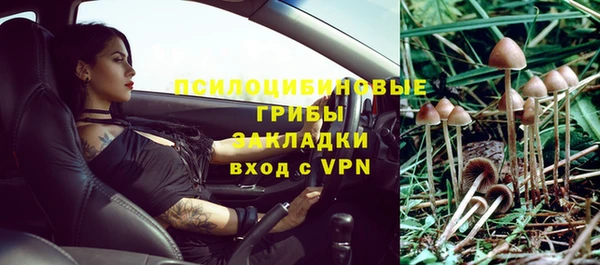 дмт Верея