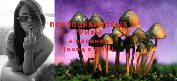 не бодяженный Бородино